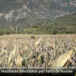 Pide Chihuahua a Federación solidaridad ante sequía extrema 7 8 7