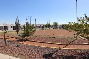 BRIGADAS DEL MUNICIPIO DE CUAUHTEMOC EMBELLECEN OTRAS TRES COLONIAS 5