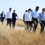 Corral SHCP Cabada 10