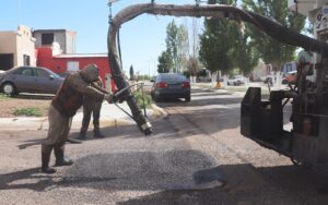 Embellecemos Cuauhtémoc dejó limpio el fraccionamiento Paquimé 2 Embellecemos Cuauhtémoc 4