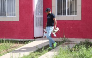 Embellecemos Cuauhtémoc dejó limpio el fraccionamiento Paquimé 4 Embellecemos Cuauhtémoc 6