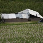 Gorogachi Sembrando Vida 10