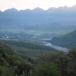 Gorogachi Sembrando Vida 24