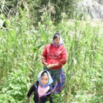 Gorogachi Sembrando Vida 4