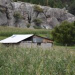 Gorogachi Sembrando Vida 7