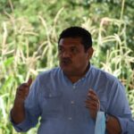 Gorogachi Sembrando Vida 8