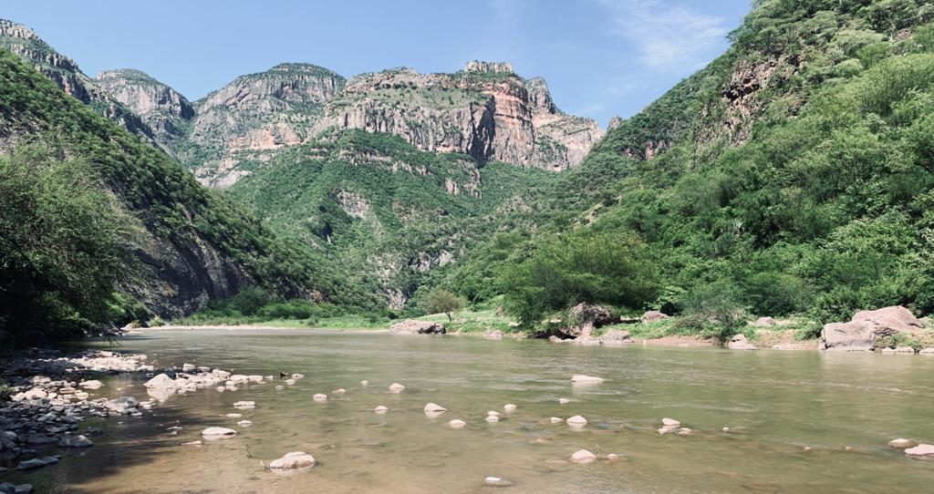 Loera Guadalupe y Calvo 5