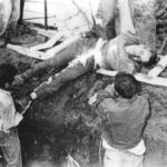 Madera 1965 9 Madera 1965 7