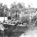 Madera 1965 3 Madera 1965 8