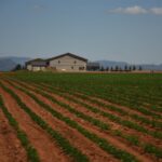 Incorpora Gobierno de México 10 mil nuevos campesinos al Programa Producción para el Bienestar 8 Madera Loera 5