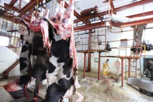 Rastro Vacas 2