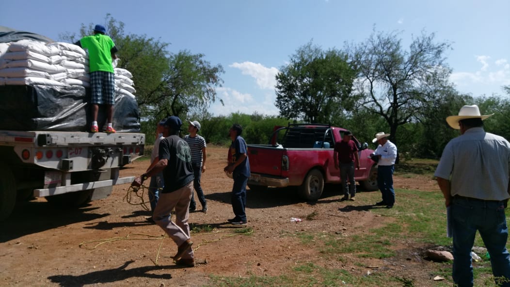 Entrega Estado 7 mil 300 sacos de semilla de sorgo forrajero en región sur 4 Sacos de Semilla PRR 1