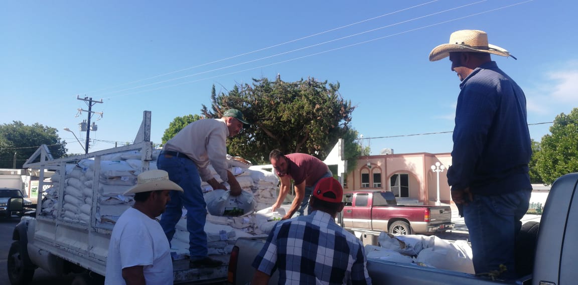 Entrega Estado 7 mil 300 sacos de semilla de sorgo forrajero en región sur 1 Sacos de Semilla PRR 4