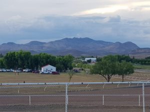 WhatsApp Image 2020 08 11 at 11.53.59 1