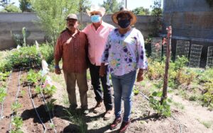 Obtienen primeras cosechas huertos familiares impulsados por gobierno municipal de Cuauhtémoc 6 WhatsApp Image 2020 08 15 at 13.27.13