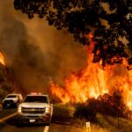 llamas en carretera de Butts Canyon