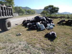 Retira servicios públicos maleza y basura en vialidad importantes de Cuauhtémoc 2 maleza 1