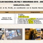 03 Sep. 2020 P.M.S.E. Samalayuca y Janos page 0011