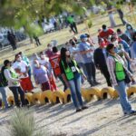 5f6b6cd51f656 5f6b6cd51f65a