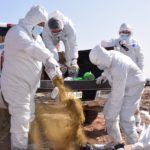 COESPRIS DESTRUCCION PRODUCTOS 10