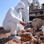 COESPRIS DESTRUCCION PRODUCTOS 7