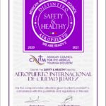 DISTINTIVO SH SIDE CHIHUAHUA 4