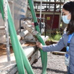 DSC 0123 FILEminimizer