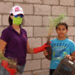 Completan acciones de embellecimiento en la ciudadela 2 cht emebellece