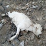 ej luis l leon 11.09.10 1