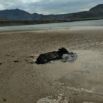 ej luis l leon 11.09.11 1 1