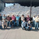 Apoyan con toneladas de maíz molido a productores ganaderos 1 APOYO A GANADEROS DESARROLLO RURAL 1