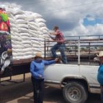 Apoyan con toneladas de maíz molido a productores ganaderos 4 APOYO A GANADEROS DESARROLLO RURAL 3