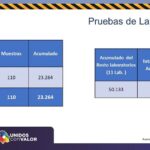 COVID-19: Con 912 decesos Juárez acopia 8731 de los casos confirmados 10 Diapositiva10 12
