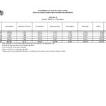 Rio Conchos aportaciones 1