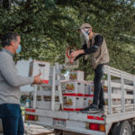 Banderazo despensas 13 2