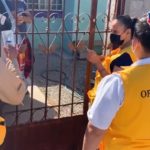 Brigadas revisan casa por casa sintomatología de COVID-19 4 Brigadas de Salud COVID 3