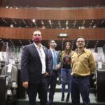 Diputados Federales Morena 3