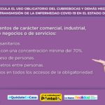 Lamina cubrebocas page 0006