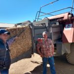 WhatsApp Image 2020 11 06 at 11.20.13