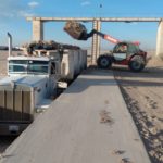 pacas 2 esquilmos algodon