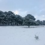 88132261 c190 4d6b 8bf7 6cec9eb144d2