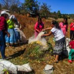 COEPI Capacita en producción agrícola a familias indígenas 12 IMG 20201026 WA0028