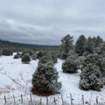 Primera nevada de la temporada en la region serrana 6