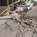 7630b713-b764-421b-a064-af8e95678099