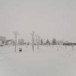 WhatsApp Image 2021 01 03 at 14.09.46 1