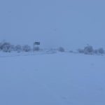 WhatsApp Image 2021 01 03 at 14.09.47 1