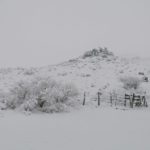 WhatsApp Image 2021 01 03 at 14.09.47