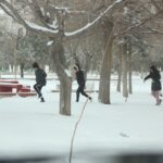 141383ba 86cd 4549 8334 01f576df8390