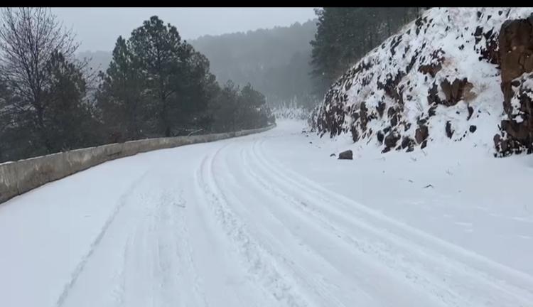 Aspectos de la nevada del domingo en diversas partes del estado 10
