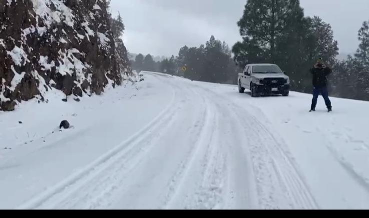 Aspectos de la nevada del domingo en diversas partes del estado 9